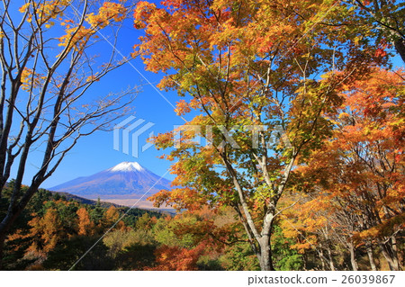 The 20th pass of autumn leaves and Mt. Fuji 26039867