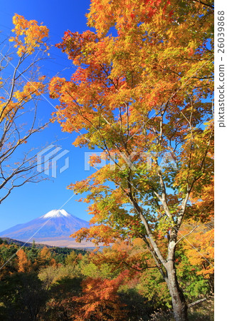 The 20th pass of autumn leaves and Mt. Fuji 26039868