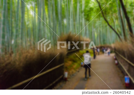 Abstract blur bamboo forest in Arashiyama 26040542