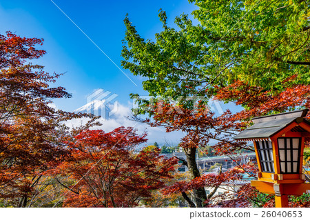 [山梨縣]富士山在秋天 26040653