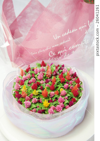 Celosia (Keiko) candleflower Celosia (Keiko) candleflower 26041261