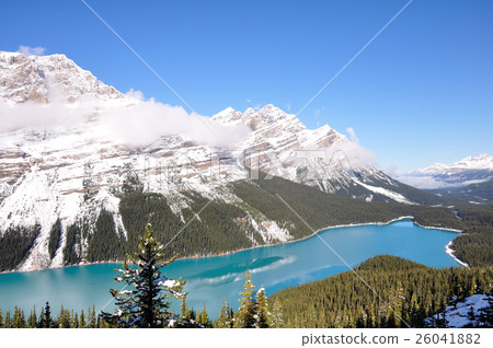 Lake Peyto (Canada) 26041882