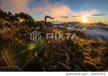 雪山主峰日出 雪山主峰日出 26042416