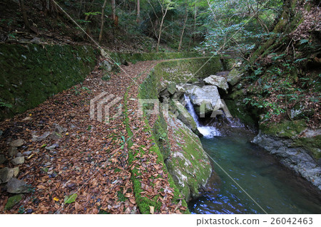 愛媛縣Mitaki Valley Promenade 26042463