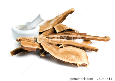 Lingzhi mushroom, Chinese traditional medicine 26042614