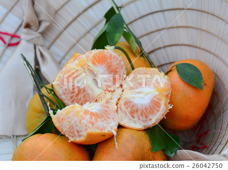 Mandarin, tangerine, citrus fruits Mandarin, tangerine, citrus fruits 26042750