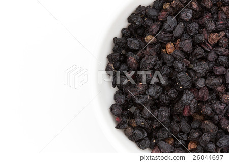 Elderberry: Elderberries (Sambucus nigra) 26044697