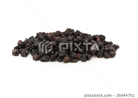 接骨木果：接骨木果（接骨木） 26044701