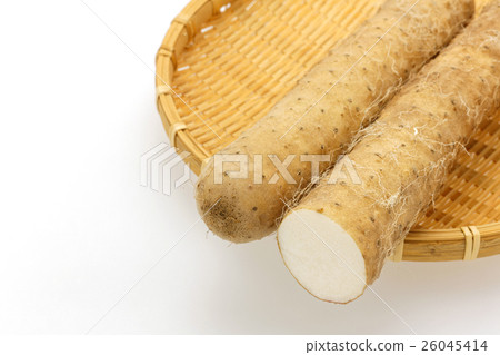 Stock Photo: yam, chinese yam, vegetables