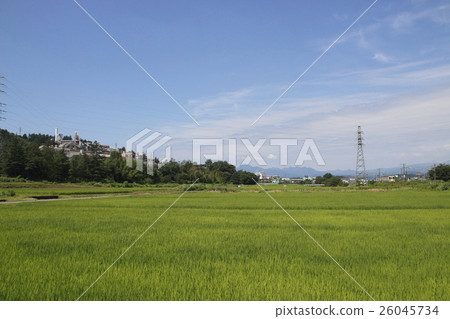 Toho Zinc Annaka Smelter and Shinetsu Main Line Series 107 (Annaka City, Gunma Prefecture) 26045734