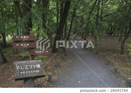 At the drawstring in the summer 26045784