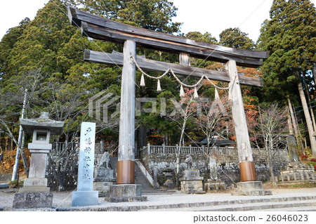 Togakushi Shrine Otorii at the middle company 26046023