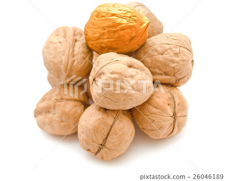 Walnuts Walnuts 26046189