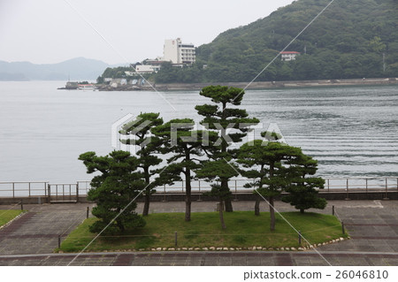 珍珠島_鳥羽 珍珠島_鳥羽 26046810