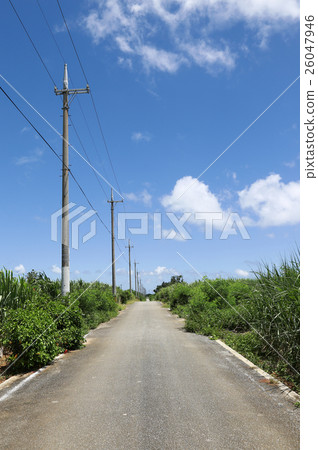 宮古島南部鄉村道路 宮古島南部鄉村道路 26047946