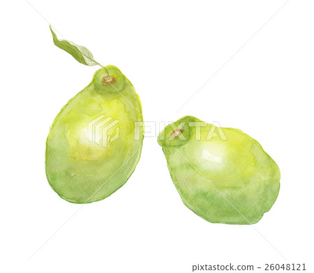 Karin Hanashi 26048121