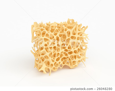Bone structure osteoporosis isolated on white 26048280