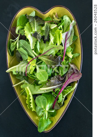 fresh salad fresh salad 26048528