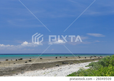 Shiraho Coast Coral Protection 26049509