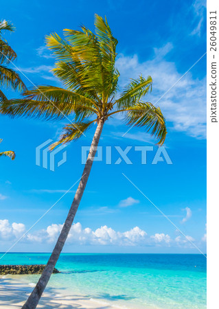Beautiful tropical Maldives island, white sandy beach and sea with palms tree around . Beautiful tropical Maldives island, white sandy beach and sea with palms tree around . 26049811