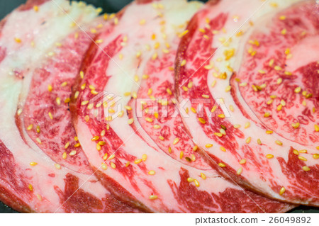 Uncooked raw fresh beef . 26049892