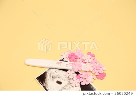 懷孕 懷孕 26050249