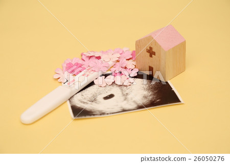 Pregnancy pregnancy medical examination 26050276