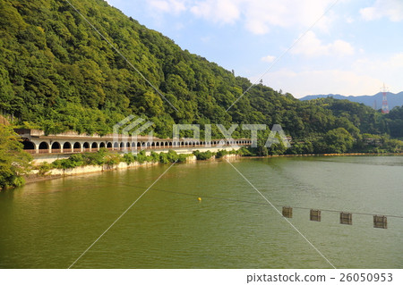 Arashiyama gum Sagami 26050953