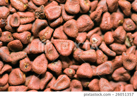 Annatto seed background 26051357