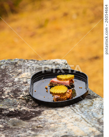 pieces of bread outdoor, picnic 26054664