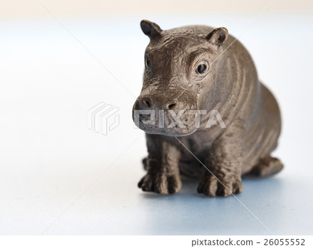 Isolated dinosaur in white background 26055552