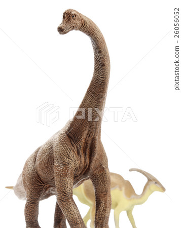 Isolated dinosaur in white background 26056052