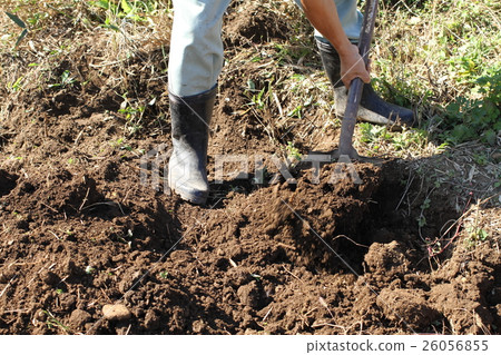 Work using field work · scoop 26056855