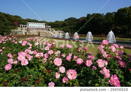 City park "Suma Rikyu park" spreading on the hill of Suma Ward, Kobe City, Hyogo Prefecture 26056928