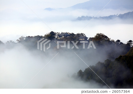 城堡在天空557 城堡在天空557 26057364