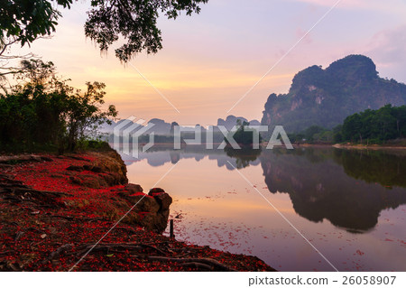 Nong Thala at sunrise, Krabi, Thailand 26058907