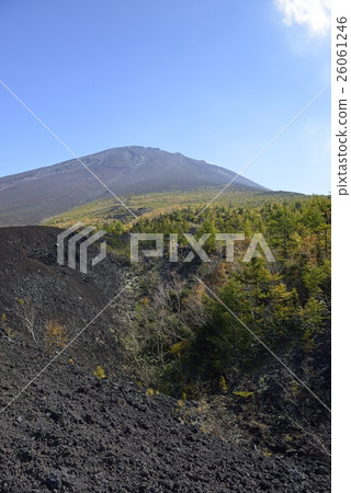 富士山（山梨縣）的秋葉 26061246