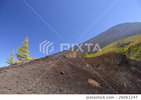 富士山（山梨縣）的秋葉 26061247