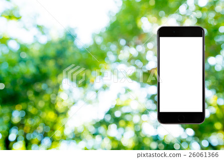 Hamikomi Sumaho Fresh green image background material background green background plant spring early summer sunbeams leaves green and copy space 26061366