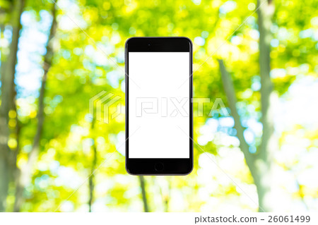 Background materials for smartphone and fresh green image synthesis Green background Plants Spring early summer Snow leaves day green and copy spaces 26061499