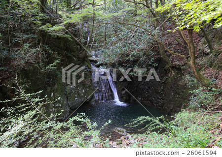 愛媛縣Mitaki谷Akago摘要 愛媛縣Mitaki谷Akago摘要 26061594