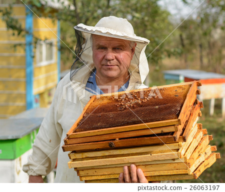 Beekeeper is working with bees and beehives on the apiary. 26063197