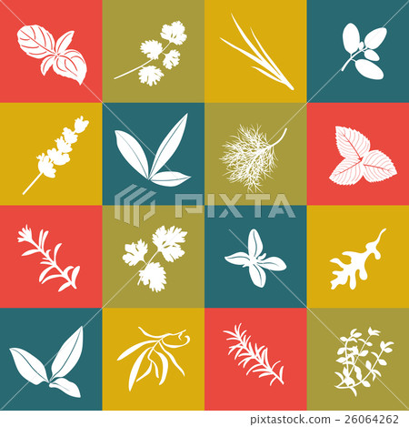 Herbs hand drawn vector big icon squared set Herbs hand drawn vector big icon squared set 26064262