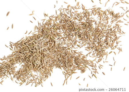 Caraway isolated on white background 26064711