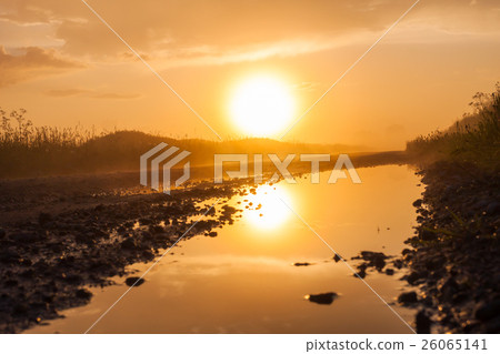 Misty rural road in the field Misty rural road in the field 26065141