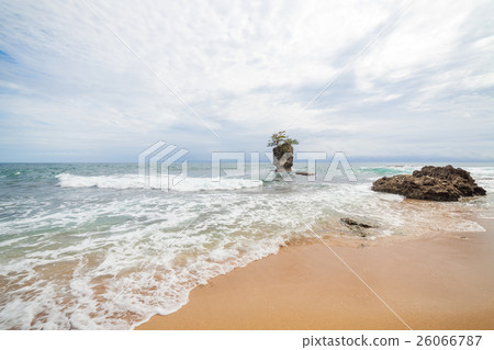 Rock islet and tree on top near sand beach Rock islet and tree on top near sand beach 26066787