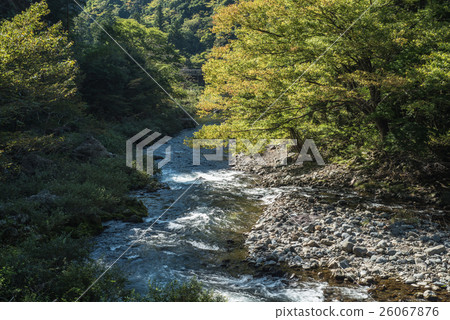 清流寶川 清流寶川 26067876