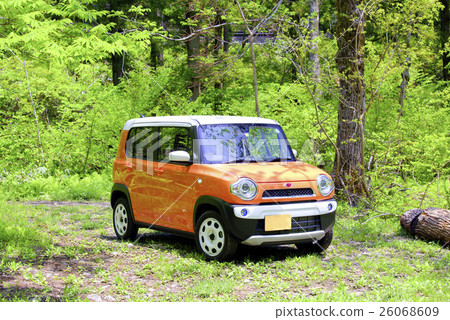 Fresh green hustler 26068609