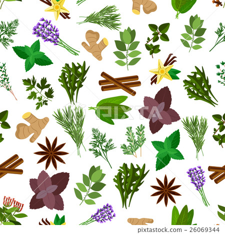 Stock Illustration: Fresh herb, spice, condiment seamless pattern