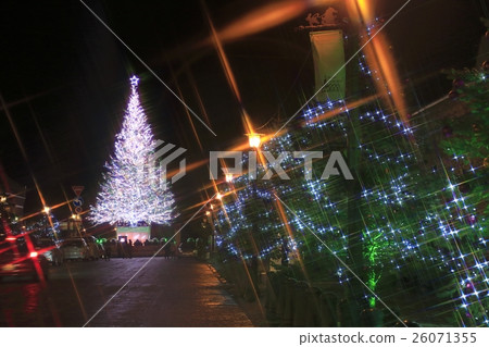 Hakodate Christmas fantasy 26071355